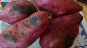 レンジとノンフライヤーで焼き芋 レシピ 作り方 By まの925 楽天レシピ