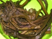 山菜 塩蔵アザミの茎の塩出し法 レシピ 作り方 By ブルーボリジ 楽天レシピ 山菜 塩蔵アザミの茎の塩出し法 レシピ 作り方 By ブルーボリジ 楽天レシピ