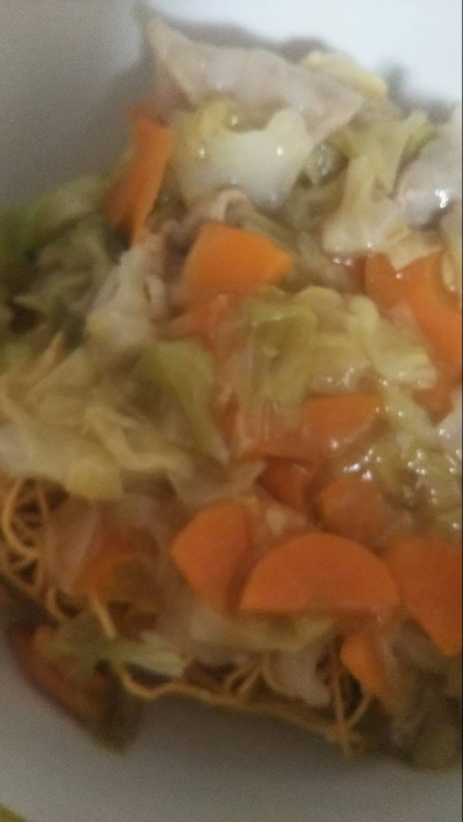 白菜の外葉と千切りキャベツの凝縮野菜で ！皿うどん