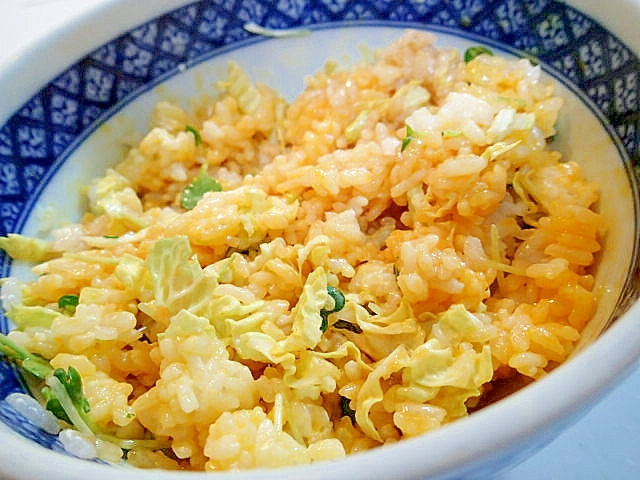 白菜とかいわれ大根と卵黄の混ぜご飯