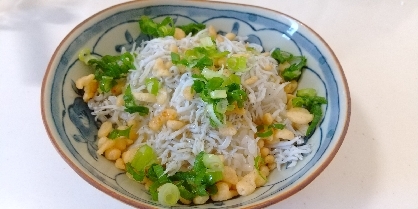 天かすしらす丼