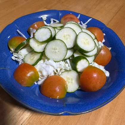 トマト☘️きゅうり☘️キャベツサラダ