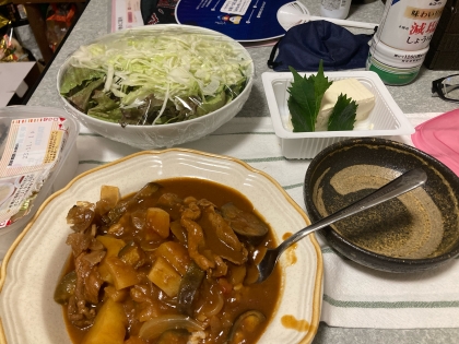 辛口茄子カレー