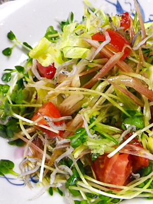 しらすみょうがきゅうりの和風サラダ レシピ 作り方 By Leopoo 楽天レシピ しらすみょうがきゅうりの和風サラダ レシピ 作り方 By Leopoo 楽天レシピ