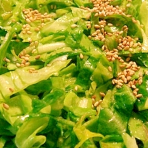 春キャベツの外葉でナムル レシピ 作り方 By Pchan2 楽天レシピ 春キャベツの外葉でナムル レシピ 作り方 By Pchan2 楽天レシピ