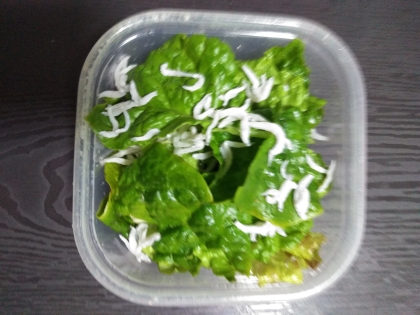 あと一品に！わさび菜のサラダ