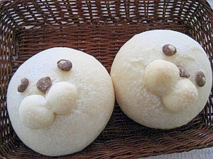 しろパンで　しろアザラシ　しろチョコパン