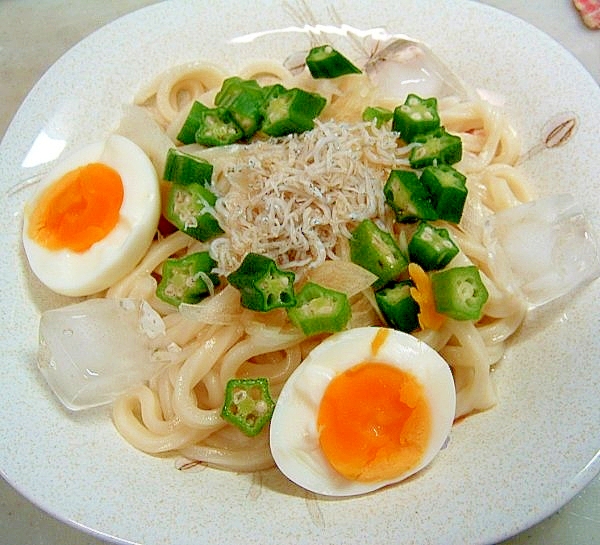 オクラのせ　ぶっかけうどん