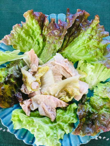 簡単♩ネギ豚白菜の無水鍋