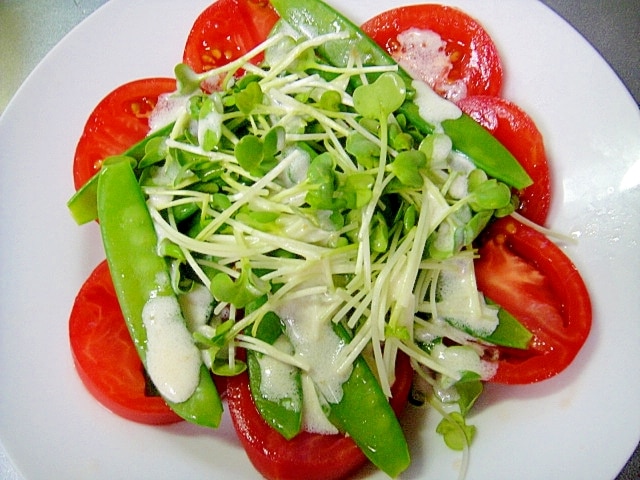 トマトと絹さやかいわれのサラダ レシピ・作り方 by mint✩（返レポお