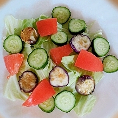 なす入りのサラダ美味しく頂きました(*^-^*)