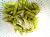 家庭菜園 歯ごたえアリな茹で枝豆 レシピ 作り方 By Kuuuma 楽天レシピ 家庭菜園 歯ごたえアリな茹で枝豆 レシピ 作り方 By Kuuuma 楽天レシピ