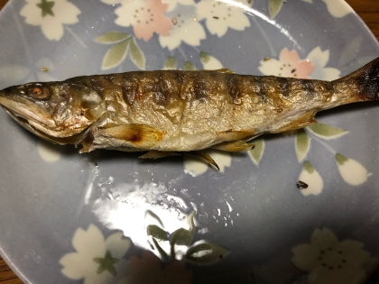 ほんのり甘い ヤマメの塩焼き レシピ 作り方 By とりあえず乾杯 楽天レシピ ほんのり甘い ヤマメの塩焼き レシピ 作り方 By とりあえず乾杯 楽天レシピ