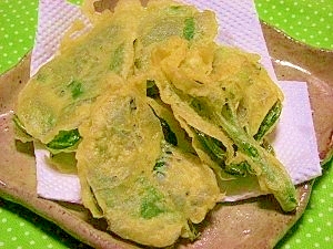 初めて揚げました ツルムラサキの天ぷら レシピ 作り方 By ブルーボリジ 楽天レシピ 初めて揚げました ツルムラサキの天ぷら レシピ 作り方 By ブルーボリジ 楽天レシピ