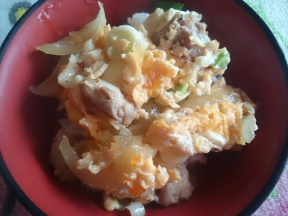 簡単な親子丼美味しかったです♪ネギ好きでたっぷりです。ごちそうさまでした!