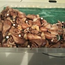 ただ漬けるだけ ホタルイカと大根の醤油漬け レシピ 作り方 By ほこ9574 楽天レシピ ただ漬けるだけ ホタルイカと大根の醤油漬け レシピ 作り方 By ほこ9574 楽天レシピ