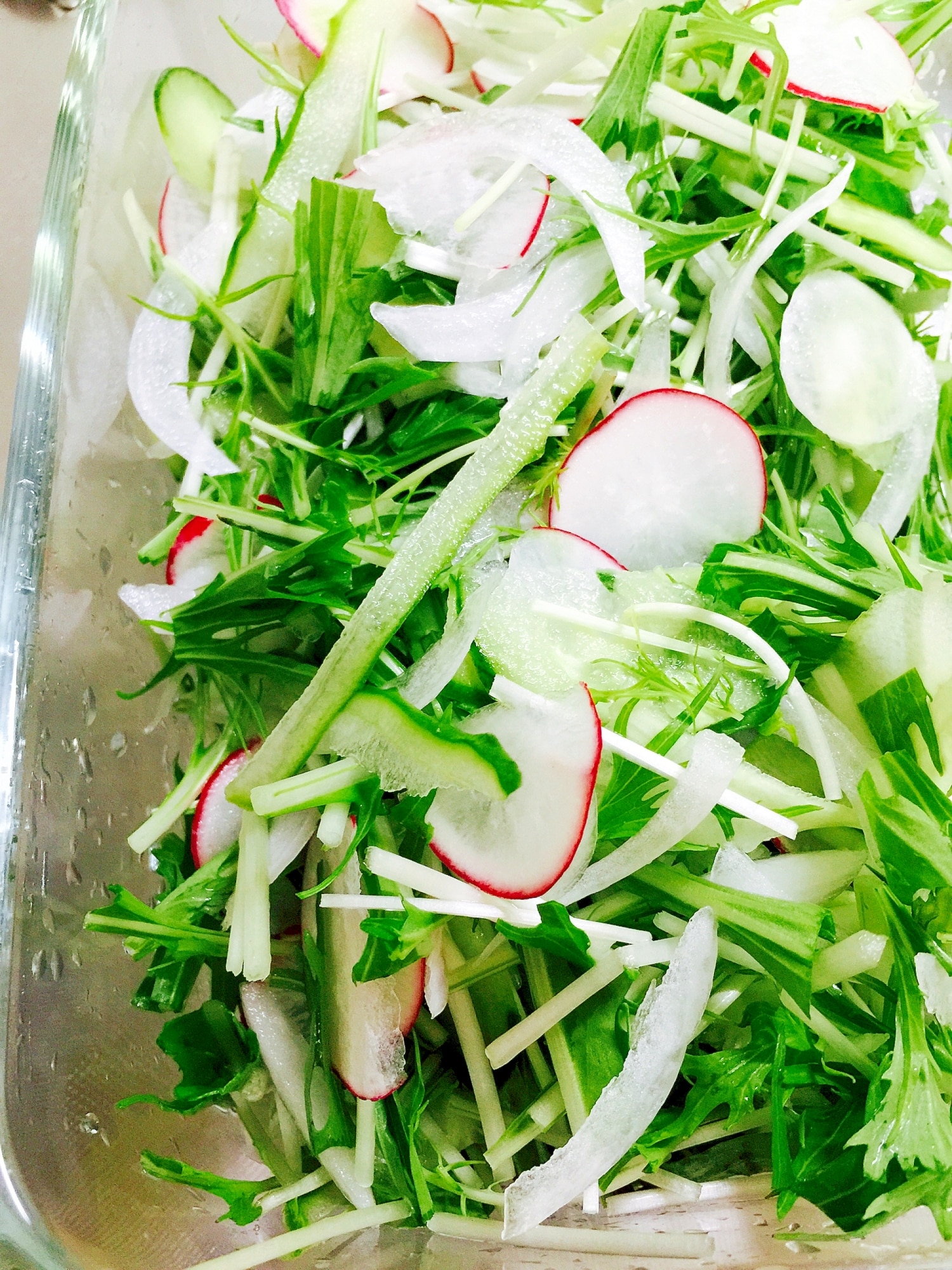 冷蔵庫にありもの野菜で☆もりもり噛むサラダ！ レシピ・作り方 by