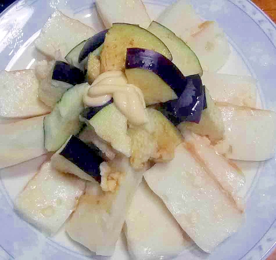 水ナスワサビ醤油サラダ