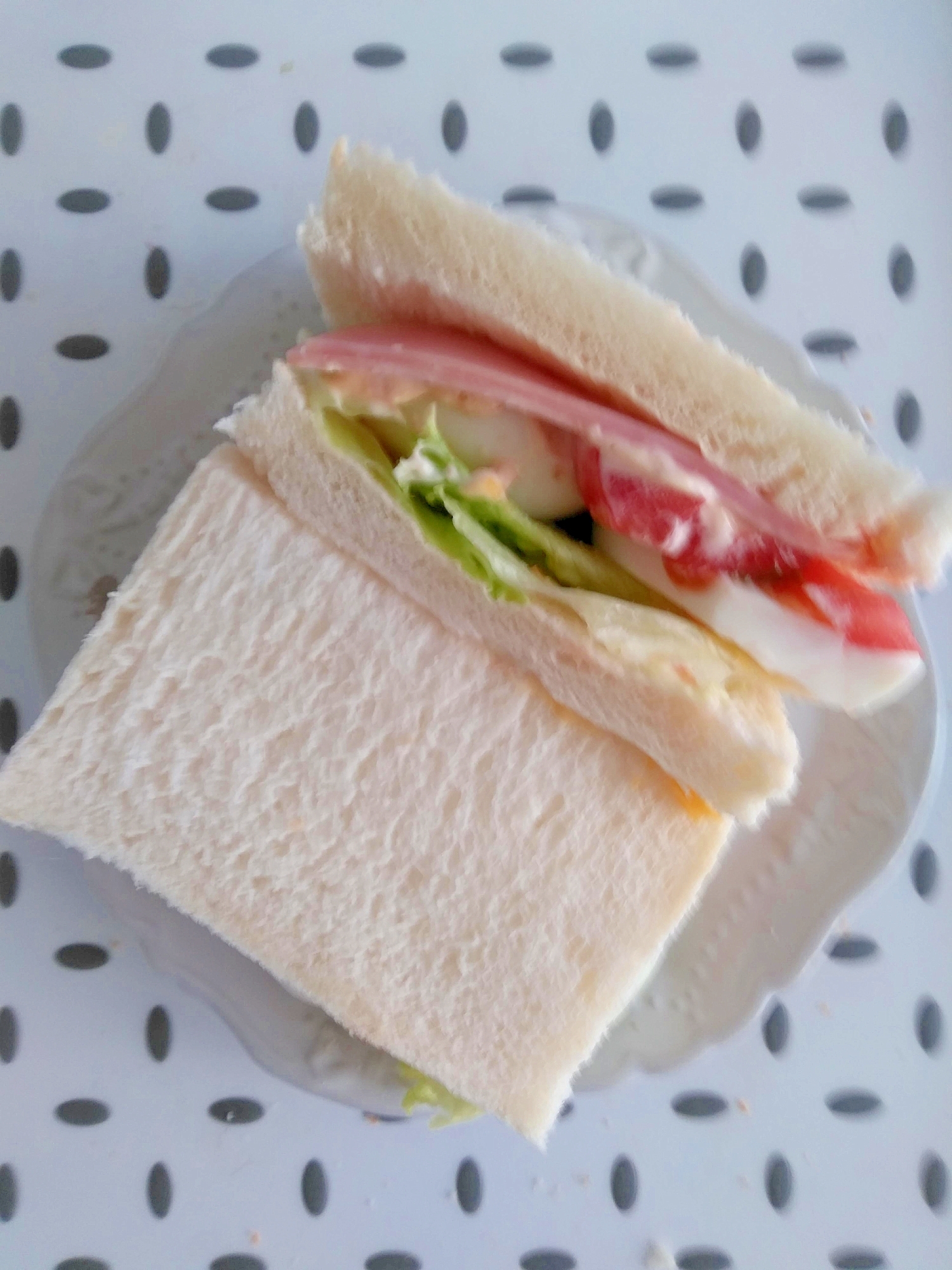 がっつり～欲張りサンドウィッチ