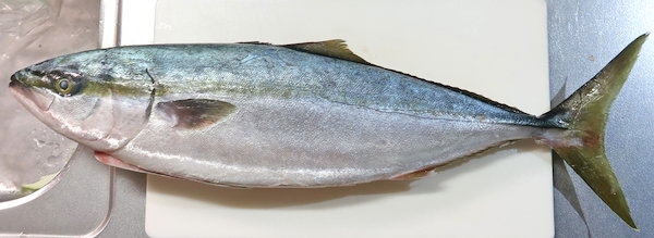 ぶり大根 フクラギ ぶりの幼魚 のアラで作る レシピ 作り方 By Si Ze2k 楽天レシピ ぶり大根 フクラギ ぶりの幼魚 のアラで作る レシピ 作り方 By Si Ze2k 楽天レシピ