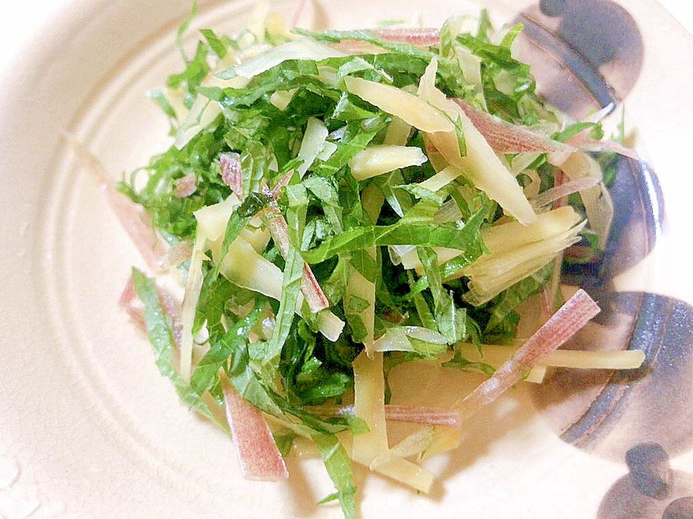 みょうが 大葉 生姜 薬味ミックス レシピ 作り方 By レシピ 楽天レシピ