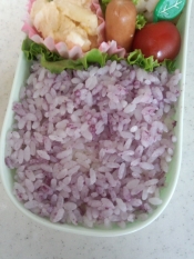 キャラ弁 海苔ｄｅペタペタ ハロウィンくろねこ弁当 レシピ 作り方 By Cherry05 楽天レシピ