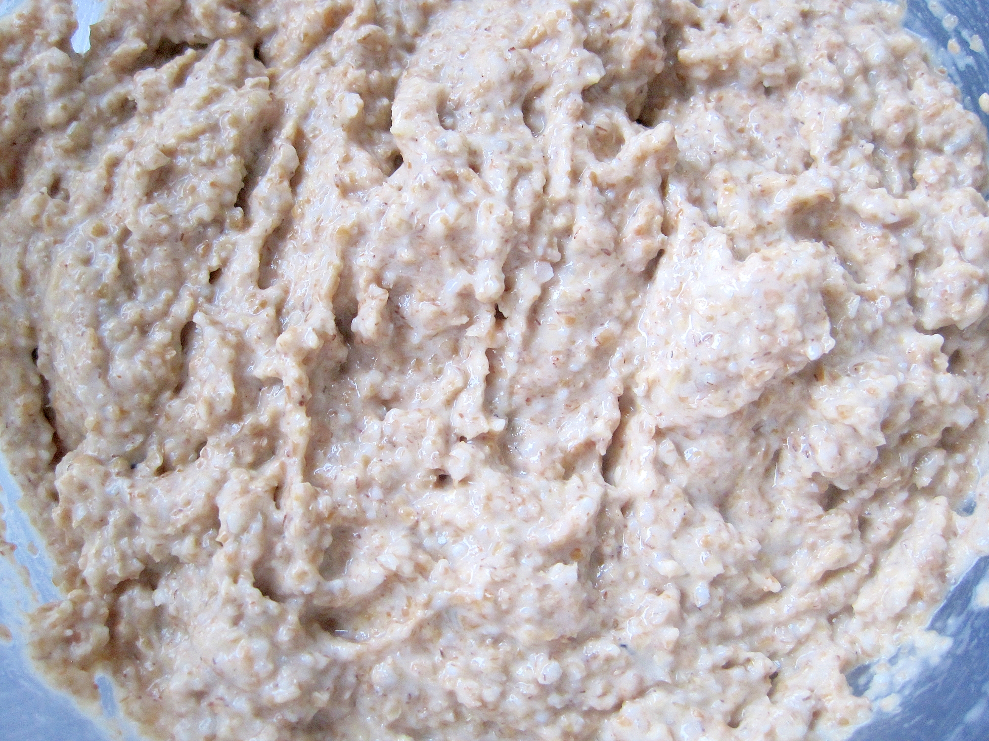 もちもちしたパンが焼ける自家製酵母のライ麦の元種 レシピ 作り方 By Yukkiy8 楽天レシピ もちもちしたパンが焼ける自家製酵母のライ麦の元種 レシピ 作り方 By Yukkiy8 楽天レシピ