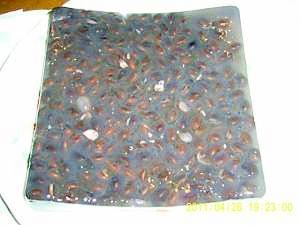 作り方は超簡単!マロン風味「黒豆寒天寄せ」