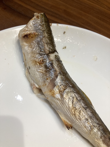 魚焼きグリルでかますの塩焼き