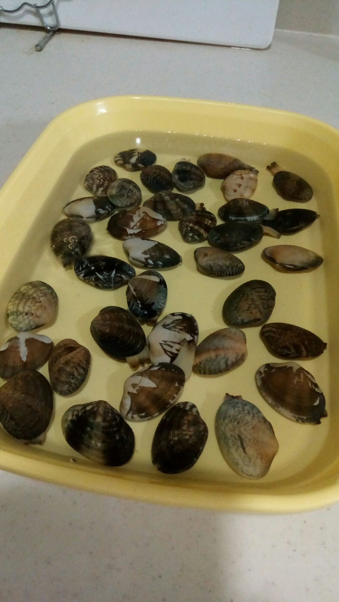 驚き 超時短 アサリの砂抜きの仕方 レシピ 作り方 By Haruまき 楽天レシピ 驚き 超時短 アサリの砂抜きの仕方 レシピ 作り方 By Haruまき 楽天レシピ