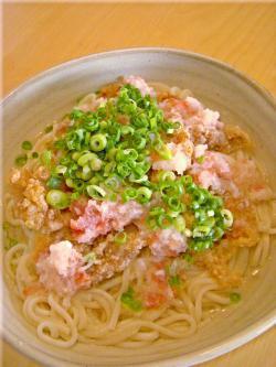 冷やしうどん☆冷しゃぶ肉と梅おろしつゆで！