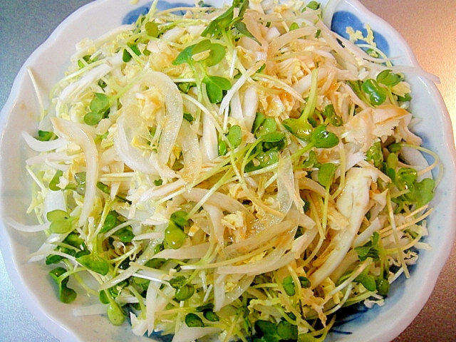 白菜とかいわれ大根のサラダ