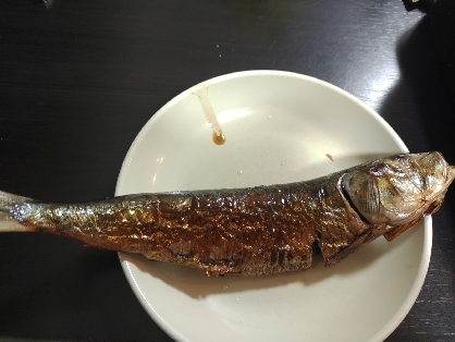 節分の魔除け!!グリルで塩イワシ