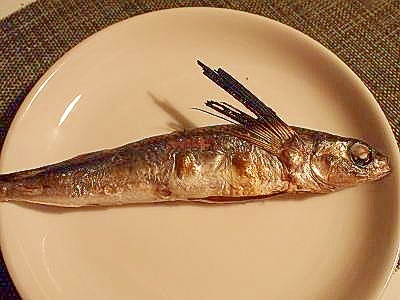 旬を楽しむ トビウオの塩焼き レシピ 作り方 By ブ 子 楽天レシピ 旬を楽しむ トビウオの塩焼き レシピ 作り方 By ブ 子 楽天レシピ