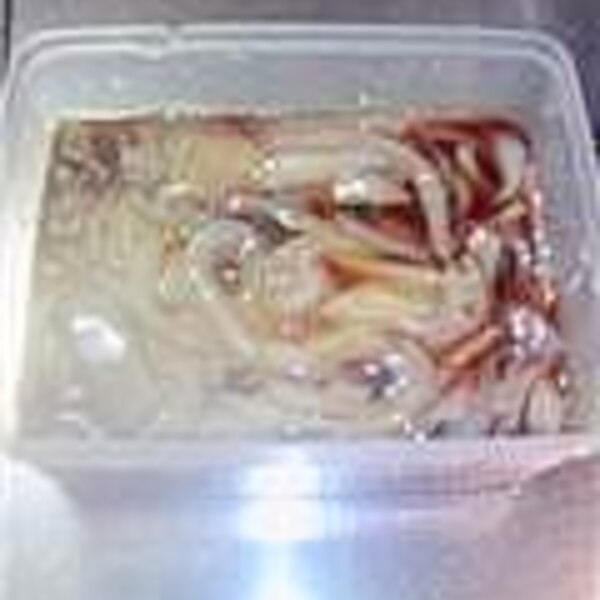 船の上で作ってくる イカの沖漬けが 家でもつくれる レシピ 作り方 By カヤライン 楽天レシピ 船の上で作ってくる イカの沖漬けが 家でもつくれる レシピ 作り方 By カヤライン 楽天レシピ