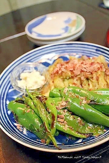 茄子とピーマンの網焼き