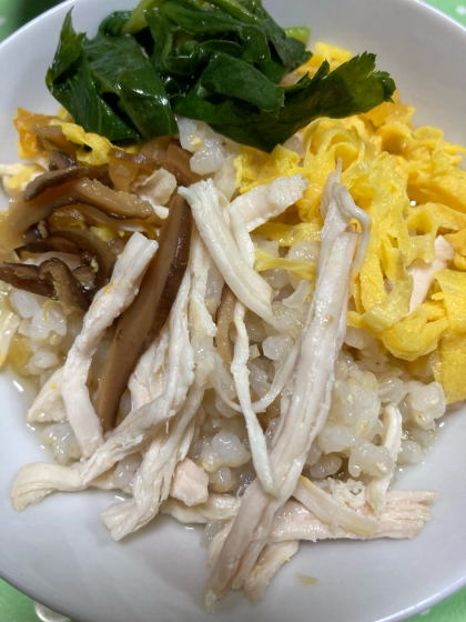鶏飯(けいはん)