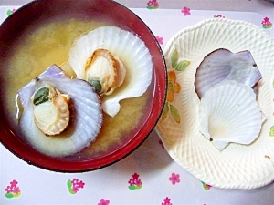 稚貝（ホタテの赤ちゃん）の味噌汁