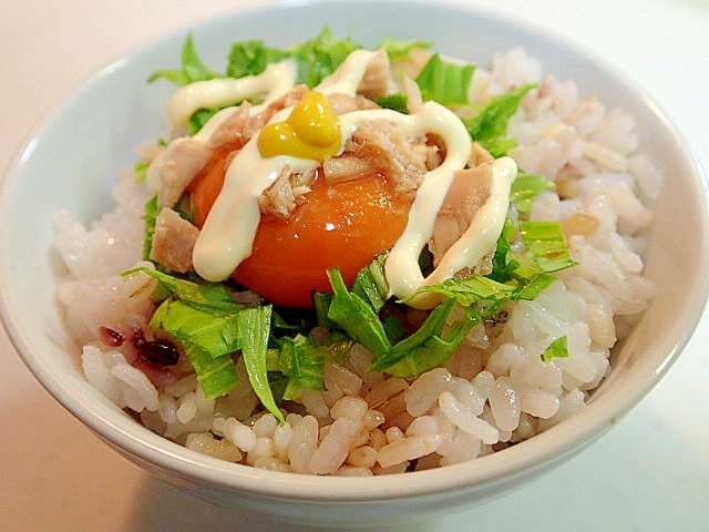 水菜と卵黄とツナの雑穀ご飯