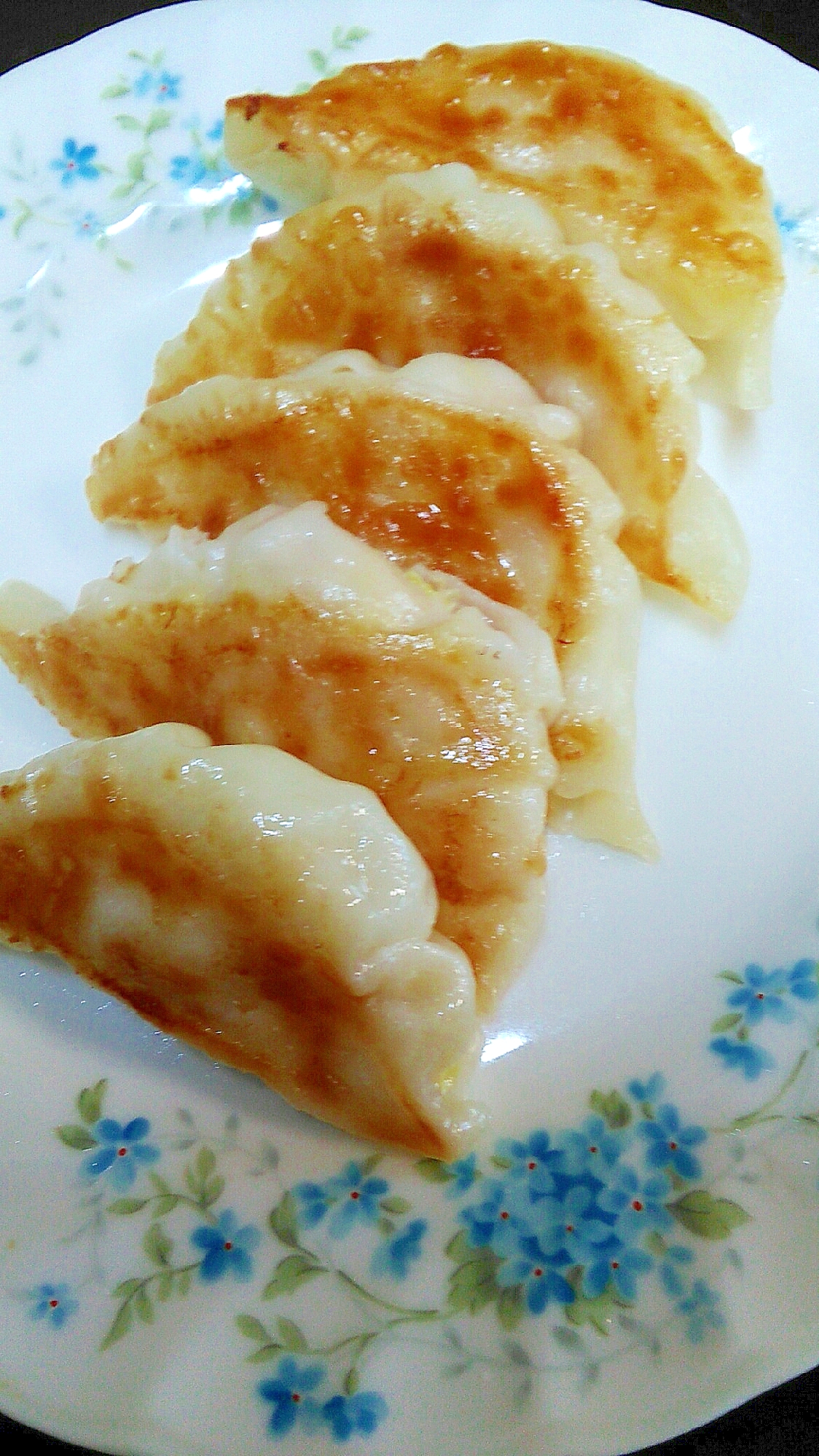 シーチキンと白菜の味付き餃子