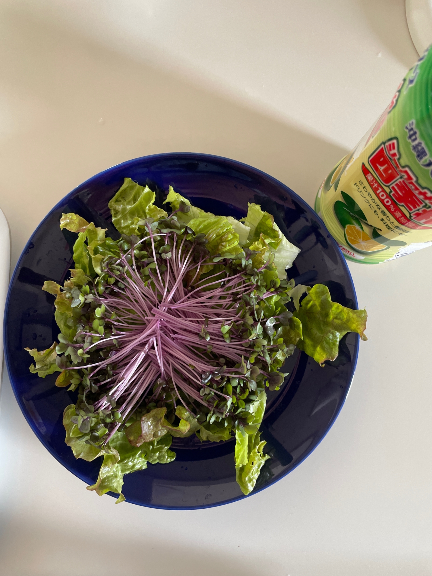 レッドキャベツスプラウトサラダ レシピ 作り方 By 休止中 レポは承認のみ 楽天レシピ レッドキャベツスプラウトサラダ レシピ 作り方 By 休止中 レポは承認のみ 楽天レシピ