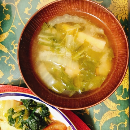 ♢豆腐と白菜のお味噌汁♢