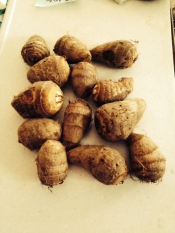 冷凍保存で3ヶ月 時短にも使える冷凍里芋 レシピ 作り方 By ばたこさん2669 楽天レシピ 冷凍保存で3ヶ月 時短にも使える冷凍里芋 レシピ 作り方 By ばたこさん2669 楽天レシピ