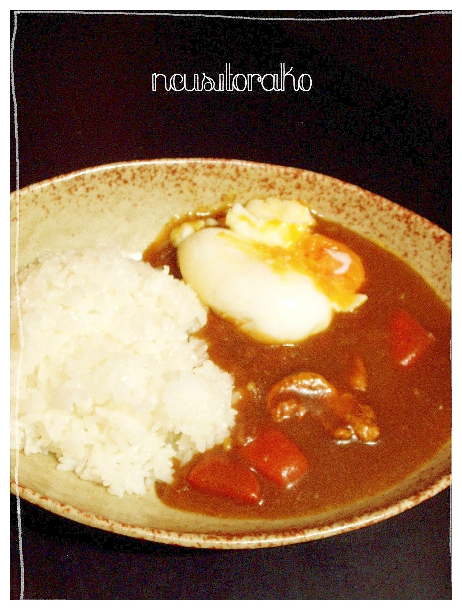 鶏皮カレーライス