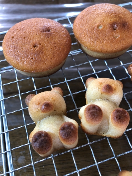 フィナンシェ型がないのであるもので。味は間違いなく美味しいです！