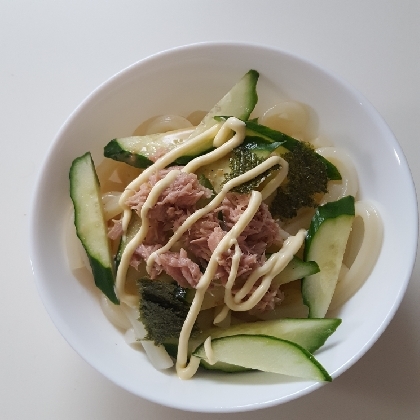 ツナと野菜のサラダうどん