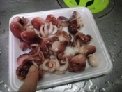 これだってたこ焼きだいっ レシピ 作り方 By Johnny Bean 楽天レシピ これだってたこ焼きだいっ レシピ 作り方 By Johnny Bean 楽天レシピ