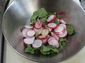 昆布茶で旨味 ラディッシュの浅漬け レシピ 作り方 By Startrek 楽天レシピ 昆布茶で旨味 ラディッシュの浅漬け レシピ 作り方 By Startrek 楽天レシピ