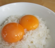 濃厚 卵かけご飯 卵黄だけ レシピ 作り方 By あずき 楽天レシピ