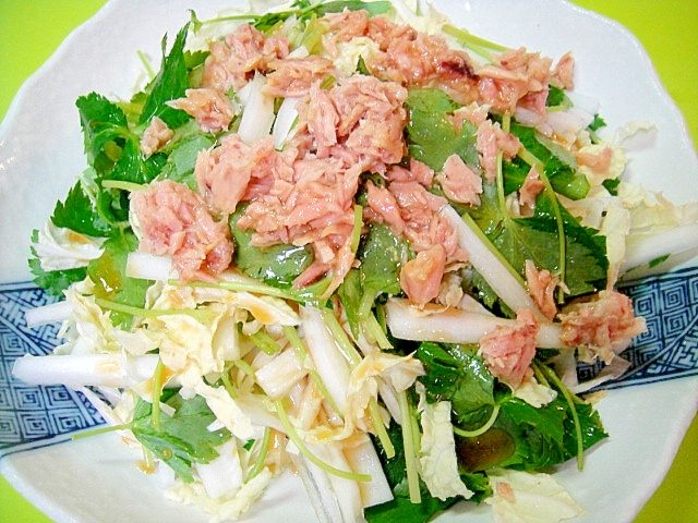 白菜と三つ葉ツナのサラダ レシピ 作り方 By Mint 1月 しばらく返レポお休み 楽天レシピ